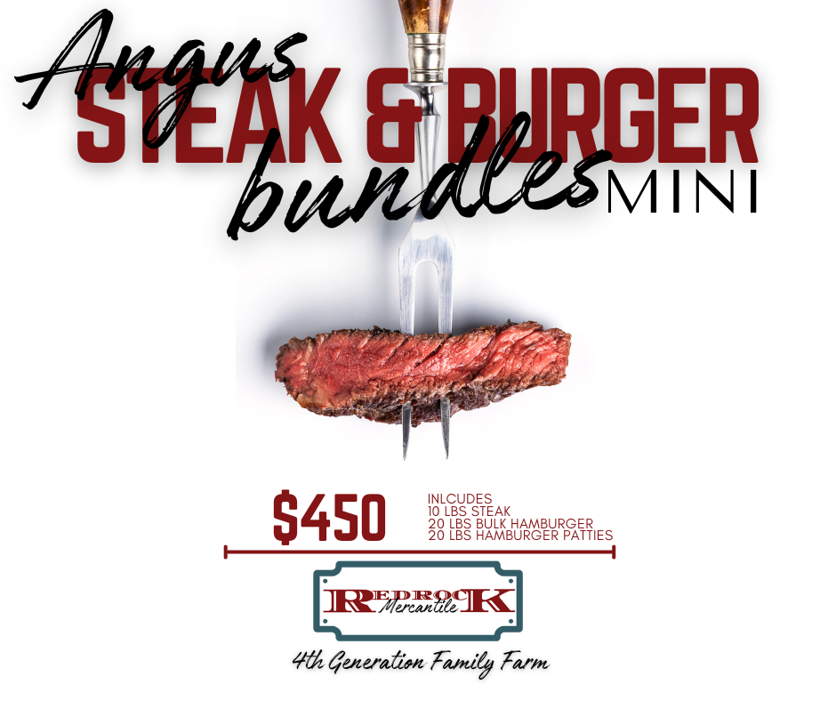 Angus Steak & Burger Bundle Mini