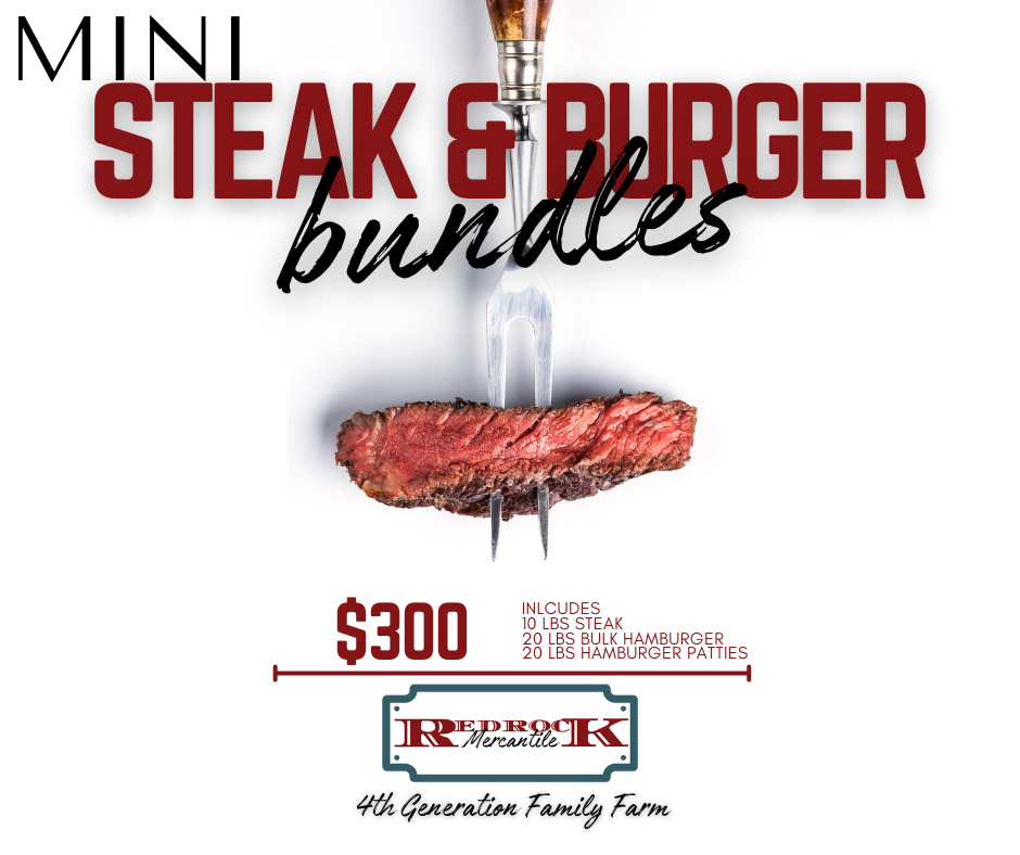 Mini Steak & Burger Bundle