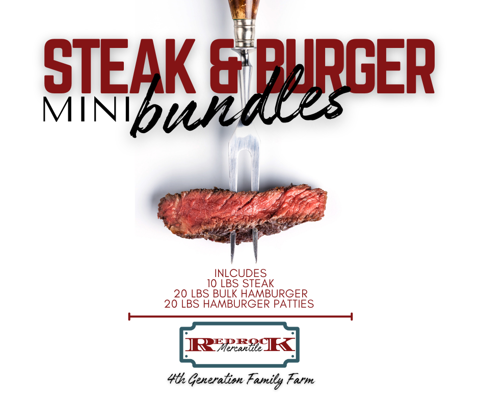 Mini Steak & Burger Bundle